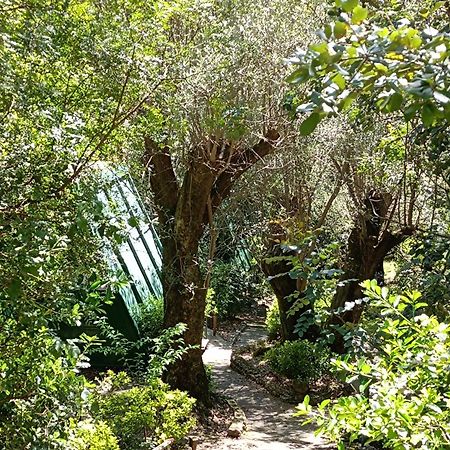 La Francesca Sud Un Villaggio"Glamping" Scario Dış mekan fotoğraf